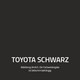 Verbrauchsmaterial - TOYOTA-Lacke - Image 2